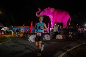 BIB: 
                            <button type="button" onclick="openModal(26552040)" class="btn btn-primary btn-sm float-right btn-popup" data-toggle="modal" data-target=".modal-high-quality">
                        <i class="fas fa-shopping-cart"></i> Add to Cart
                    </button>
                                            <button type="button" onclick="isThisMe(26552040, true)" class="btn btn-success btn-sm float-right btn-popup btn-isme hidden" data-toggle="tooltip" data-placement="bottom" title="นี่คือรูปของคุณใช่ไหม คลิกที่นี่เพื่อเอาเข้าอัลบั้ม">
                        <i class="fas fa-plus"></i> Add to album
                    </button>
                    <button type="button" onclick="isThisMe(26552040, false)" class="btn btn-warning btn-sm float-right btn-popup btn-isnotme hidden">
                        <i class="fas fa-ban"></i> Remove from album
                    </button>